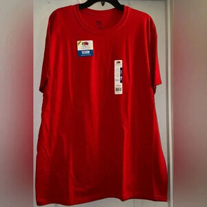 Fruit of The Loom Platinum Tee Shirt